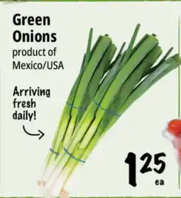 Farm Boy Green Onions offer