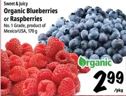 Farm Boy Sweet & Juicy Organic Blueberries or Raspberries offer