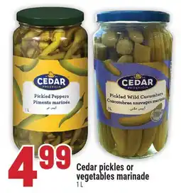 Marché Adonis CEDAR PICKLES OR VEGETABLES MARINADE offer