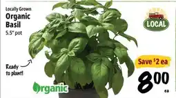 Farm Boy Organic Basil offer