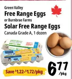 Farm Boy Green Valley Free Range Eggs or Burnbrae Farms Solar Free Range Eggs offer