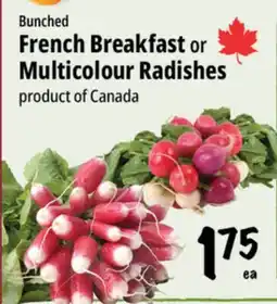 Farm Boy French Breakfast or Multicolour Radishes offer