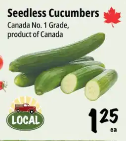 Farm Boy Seedless Cucumbers offer