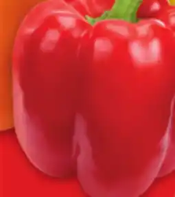 Metro LARGE RED, ORANGE OR YELLOW SWEET PEPPERS offer