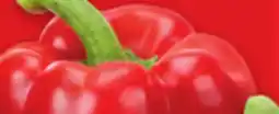 Metro LARGE RED SWEET PEPPERS offer