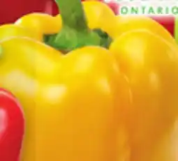 Metro YELLOW SWEET PEPPERS offer