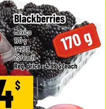 Mayrand Blackberries offer