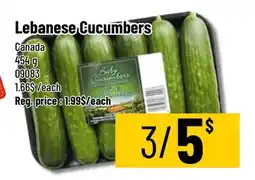 Mayrand Lebanese Cucumbers offer