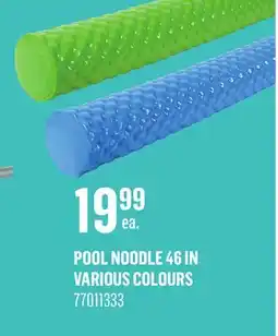 Canac Pool Noodle 46 in offer
