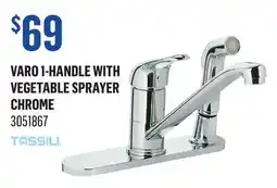 Canac Varo 1-Handle with Vegetable Sprayer Kitchen Faucet offer