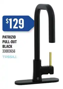 Canac Patrizio Pull-Out Kitchen Faucet offer