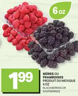 L'Intermarché MÛRES OU FRAMBOISES | BLACKBERRIES OR RASPBERRIES, 6 OZ offer