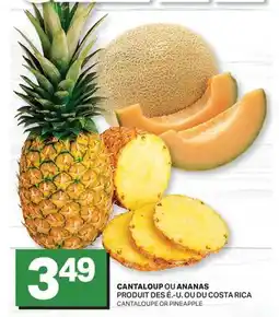 L'Intermarché CANTALOUP OU ANANAS | CANTALOUPE OR PINEAPPLE offer