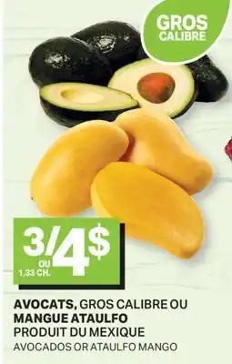 L'Intermarché AVOCATS OU MANGUE ATAULFO | AVOCADOS OR ATAULFO MANGO offer