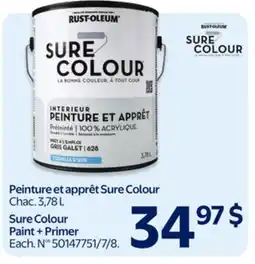 Walmart Sure Colour Paint + Primer offer