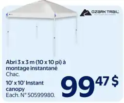 Walmart 10'x 10' Instant canopy offer