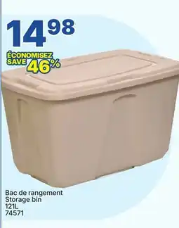 Rossy Storage bin offer