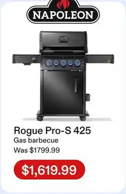 Club Piscine Napoleon Rogue Pro-S 425 offer