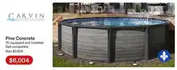 Club Piscine Carvin Pine Concrete offer