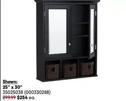 RONA medicine cabinets 25 x 30 offer