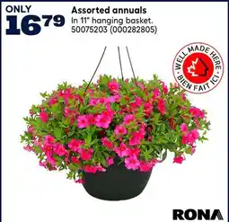 RONA RONA Assorted annuals offer