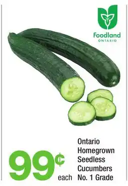 Highland Farms Ontario Homegrown Seedless Cucumbers offer