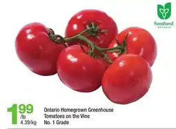 Highland Farms Ontario Homegrown Greenhouse Tomatoes on the Vine offer