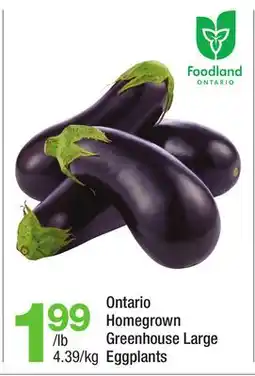 Highland Farms Ontario Homegrown Greenhouse Large Eggplants offer