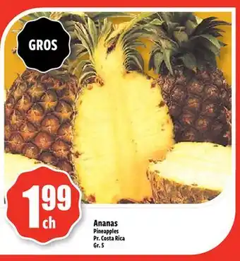 Bonanza Ananas offer