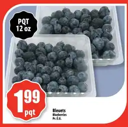 Bonanza Blueberries offer