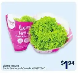 Walmart Living Lettuce offer