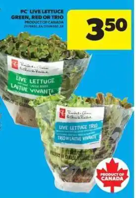 Real Canadian Superstore PC Live Lettuce offer
