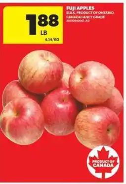 Real Canadian Superstore FUJI APPLES offer