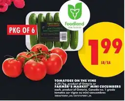 No Frills Tomatoes on the Vine or Farmer's Market Mini Cucumbers offer