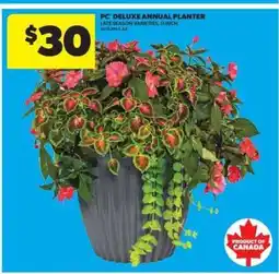 Real Canadian Superstore PC Deluxe Annual Planter offer