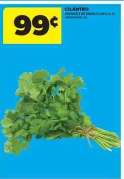 Real Canadian Superstore CILANTRO offer