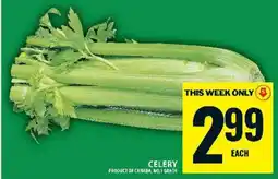 Food Basics CELERY offer