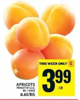 Food Basics apricots offer