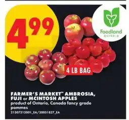 No Frills Farmer's Market Ambrosia, Fuji or McIntosh Apples offer