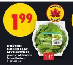 No Frills BOSTON GREEN LEAF LIVE LETTUCE offer