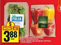 Food Basics Folia Crispy or Crunchy Lettuce offer