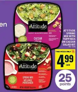 Food Basics Attitude Spring Mix with Toppings or Caesar Salad Kit offer