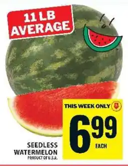 Food Basics Seedless Watermelon offer