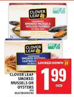 Food Basics CLOVER LEAF SMOKED MUSSELS or OYSTERS offer