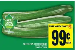 Food Basics SEEDLESS CUCUMBERS offer