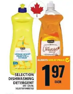 Food Basics SELECTION DISHWASHING DETERGENT offer