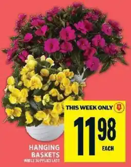 Food Basics Hanging Baskets offer