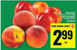 Food Basics Peaches/Nectarines offer