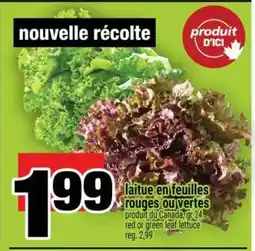 Super C laitue en feuilles rouges ou vertes offer