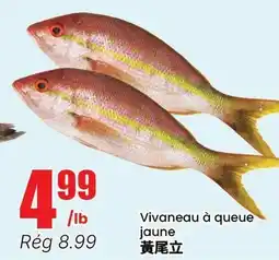 Btrust Supermarket Vivaneau à queue jaune offer